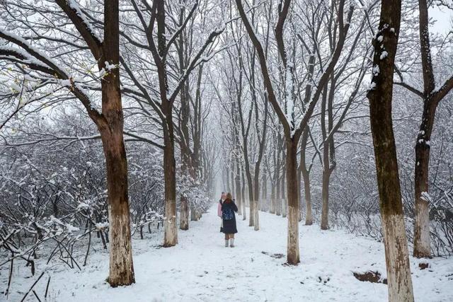 新年第一站,我先冲了!
