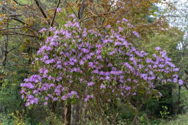 春假倒计时｜汉江源亲子踏青指南，承包全家春日欢喜！
