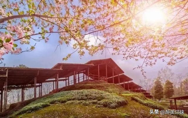 夏崃｜邛崃的夏天，是如此“出彩”