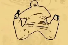 青蛙趴 回春术 神龟望月 春节养生大法图片