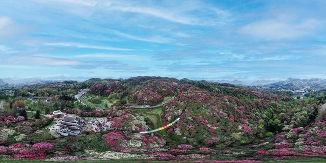国内春日花海天花板：第1个美如画，第3个贵州小城竟藏着世界之最