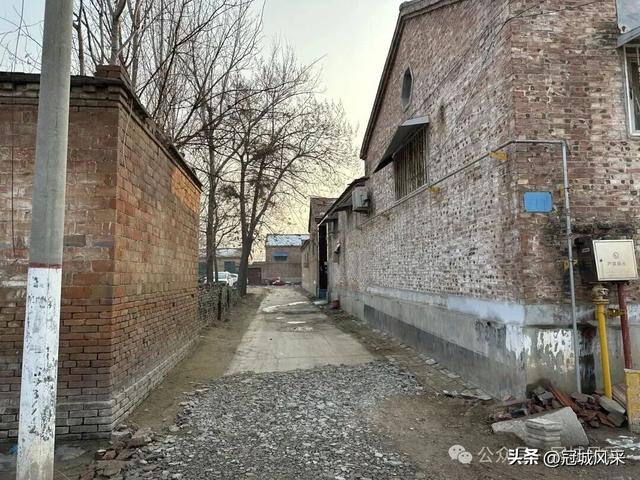 冠县乡韵·清水镇后井寨村