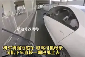 越来越觉得：“禁摩和禁狗一个道理”，这句话真是无比正确。图片