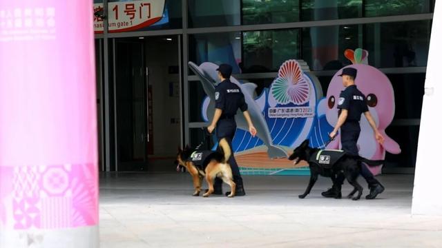 盛事在即！湛江准备好了→