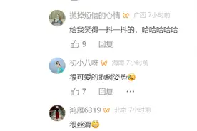 看一遍笑一遍！男子荡秋千最后直接挂树上了，网友们的评论要死人图片