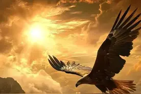 微信头像｜男士旺财头像，风水图片有助运势图片