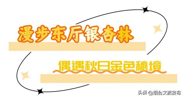 【乐游烟台】周末好去处丨玩转秋天！烟台好玩程度超出想象！
