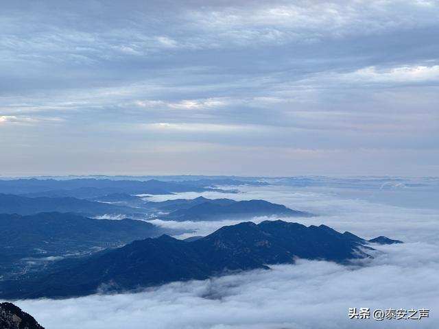 雨后泰山云海翻涌如仙境