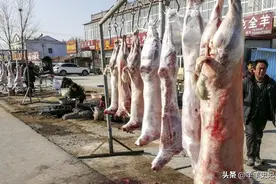 为什么人类只吃食草动物的肉，几乎不吃食肉动物？难道是不好吃？图片