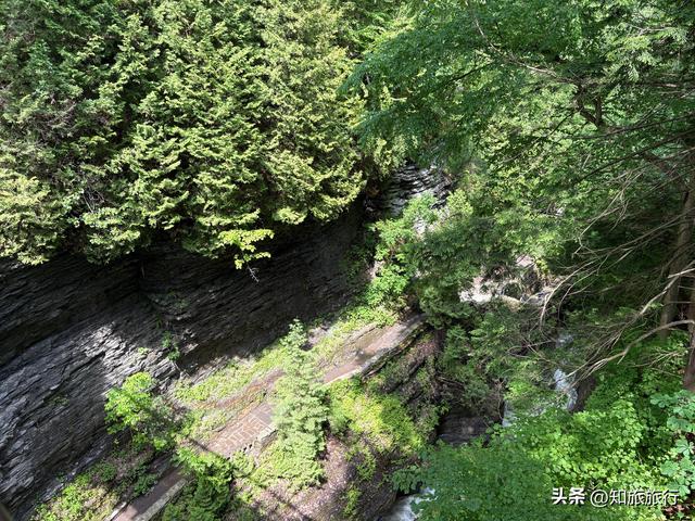 2025年环球知旅——美加东十日游（夜游尼亚加拉瀑布）