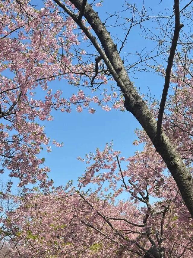 无锡这座大公园，即将爆火！