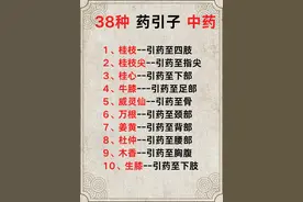 揭秘！38种中药药引子，精准引导药效直达病灶图片