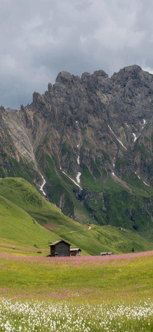 手机壁纸|治愈系的自然美景