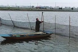 “蟹虾小镇”特色水产养殖基地水上“春耕”忙图片