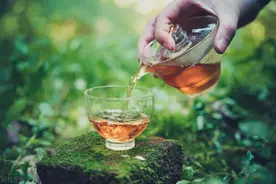 喝茶会使血压升高？医生提醒：喝茶的好处与坏处，可以对比看看图片