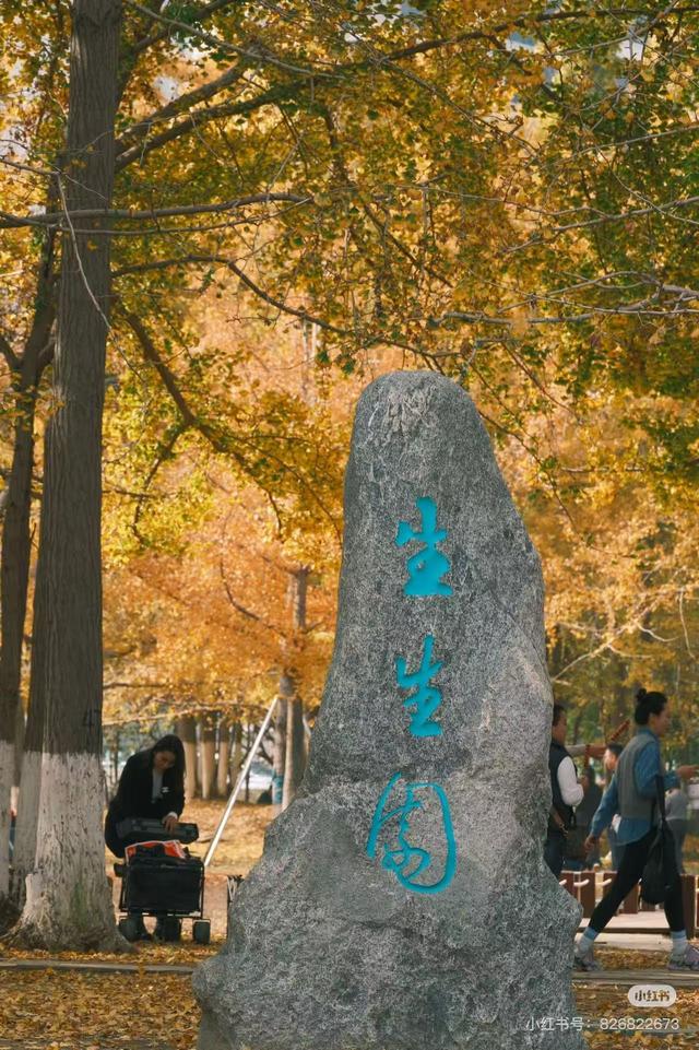 临沂秋日捡秋啦 | 把秋天，装进你的时间胶囊~