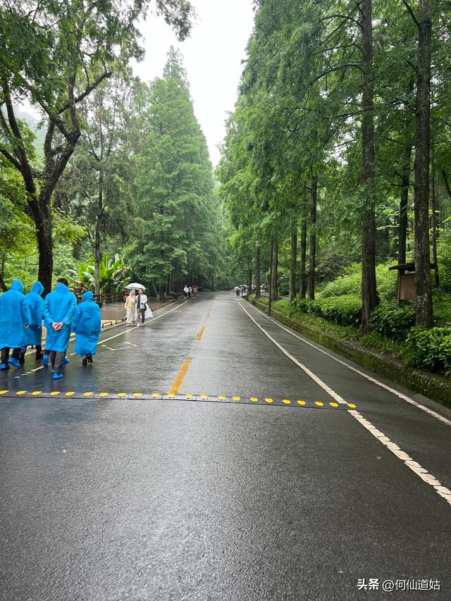 都江堰往青城山