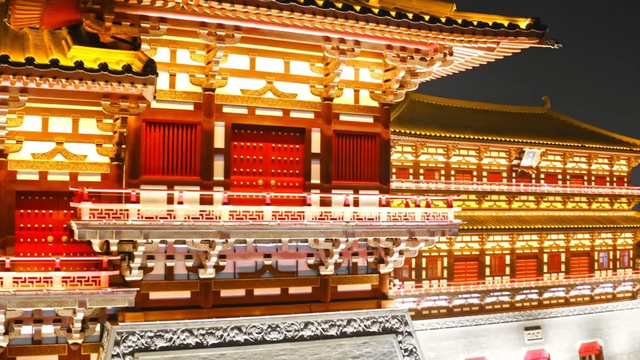 趁天晴出发！洛阳这片杉林红了！无需门票…