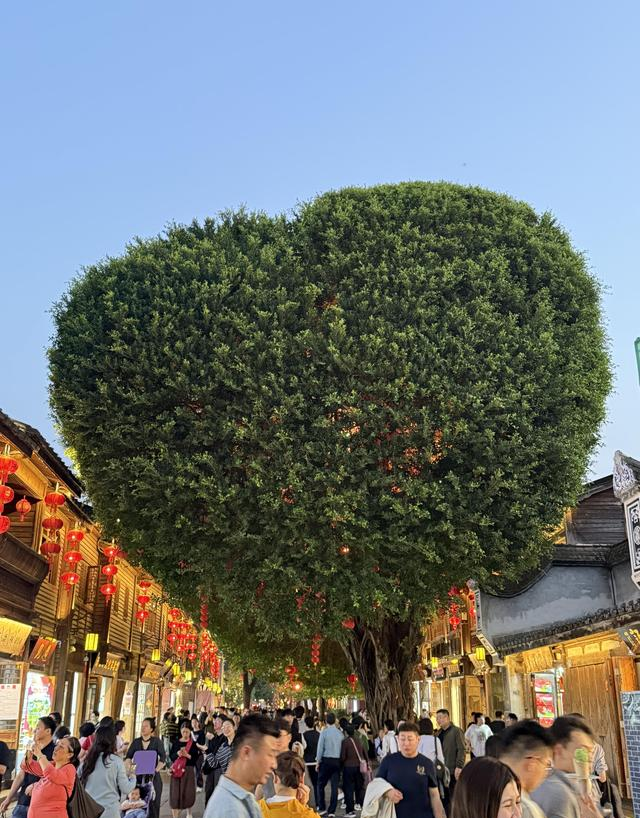 美国朋友来福州旅游，回国后一个劲摇头：中国已经是超一等国家了