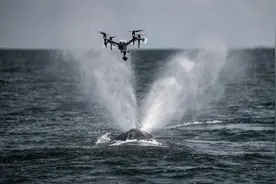 美国科学家震惊：封杀中国无人机，“简直是疯了！”图片