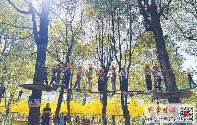 清明小长假十堰揽客168万余人次 红色研学茶旅夜游“多点开花”