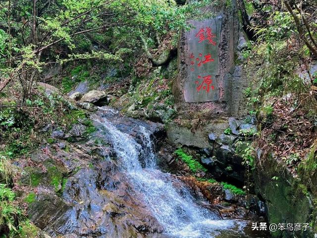 这5个浙江小众避暑圣地，不仅凉快得像天然冰箱，而且人少景美