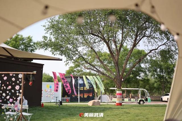 清明小长假，去武清“撒野”！