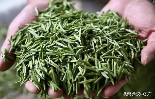 成果斐然！汉中上半年历史文化传承发展亮点多多→