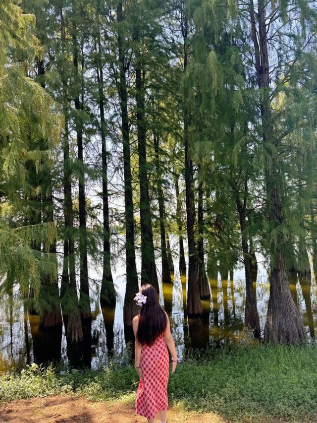 国庆4天打卡浙江11个绝美小众景点！2个人只花3000块