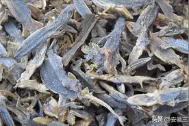 市场需求1000吨，饲养1000只利润3万元，农村一个人可以做的项目图片