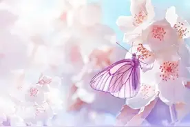 走进桑杰才让的《心上人》：一段感人至深的爱情故事图片