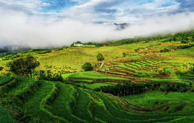 壮美五指山，我要给你五颗星