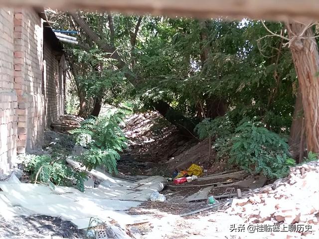 宁夏人文：银川红花渠传奇2，半城风光看残渠，谁还记得旧模样？