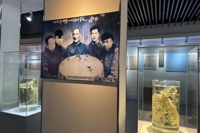乘着高铁游白山 | 双节同庆 白山市彩色研学3日游