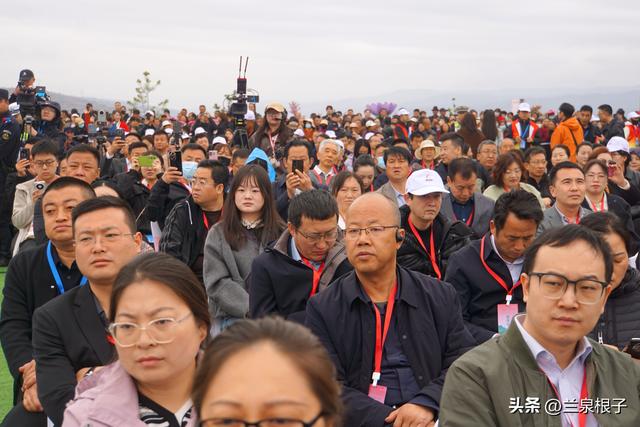 醉美桃花源启幕 秦安共赴春日盛宴
