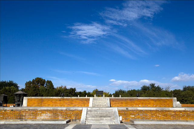地坛网红树牌火了！“天塌了树撑着”刷屏，古园新生藏着城市温情