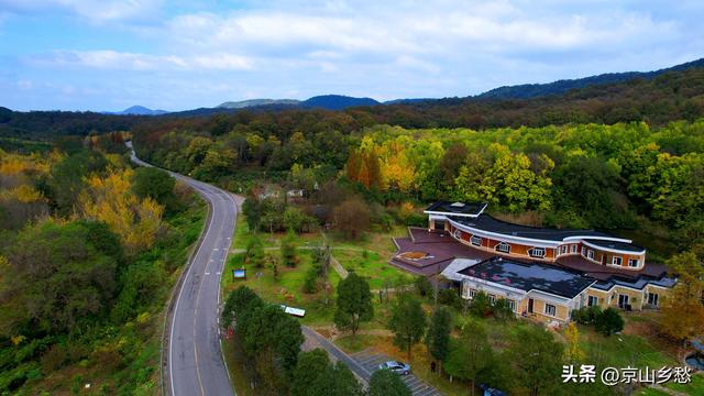 京山虎爪山赏秋：来得迟，景正好