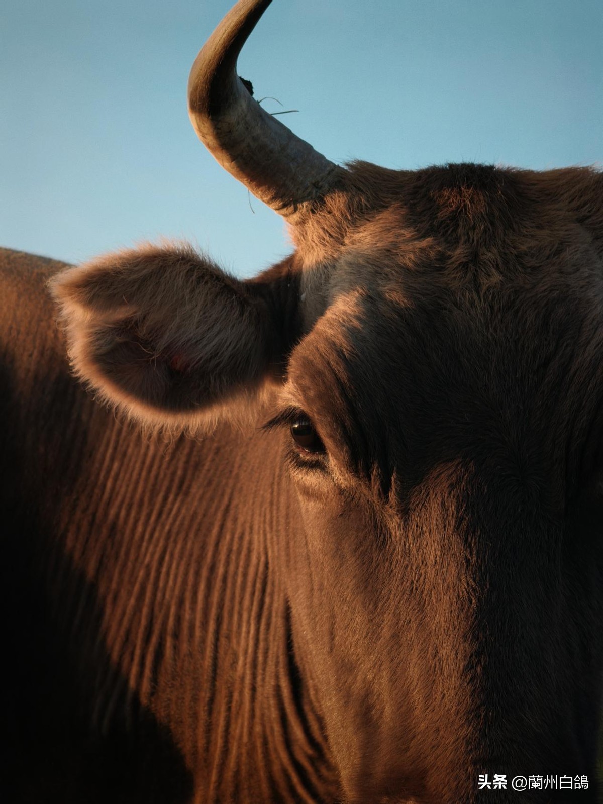 什么显示器色彩最好_专业摄影显示器_色彩管理