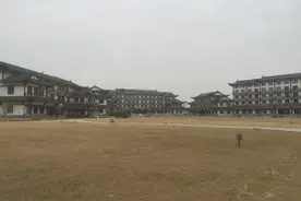 义门陈与我期待的中华义门文化博览馆图片