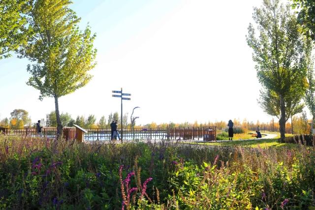 央媒看赛罕 | 快看,这里被多家央媒关注!