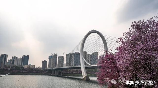 自驾环游中国行（二十九）广西柳州到桂林十里画廊
