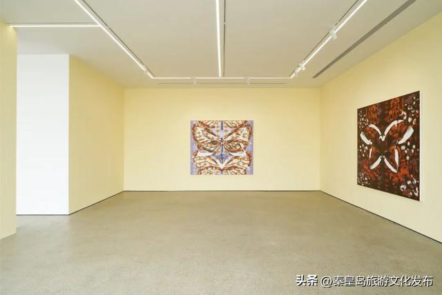 阿那亚十一海边游玩指南｜舞蹈节、雀跃镇大师赛、狗狗聚会、艺术展览，邂逅理想假日