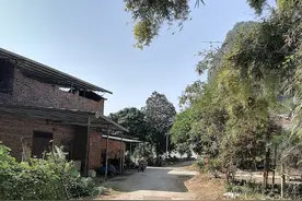 广西南宁市隆安县山里的小村庄，10几户人家却生活着13姓氏人家图片