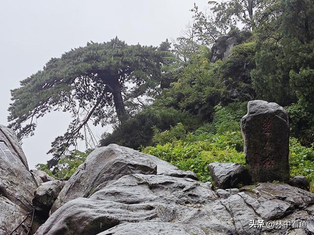 徒步登泰山之四—终章——冒雨徒步下山补看泰山关帝庙
