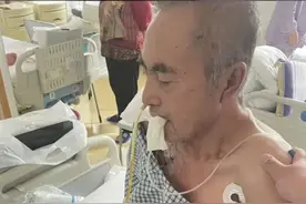 老爸去世全家瞒着奶，奶要见老爸，孙子AI换脸，一声“妈”泪崩了图片