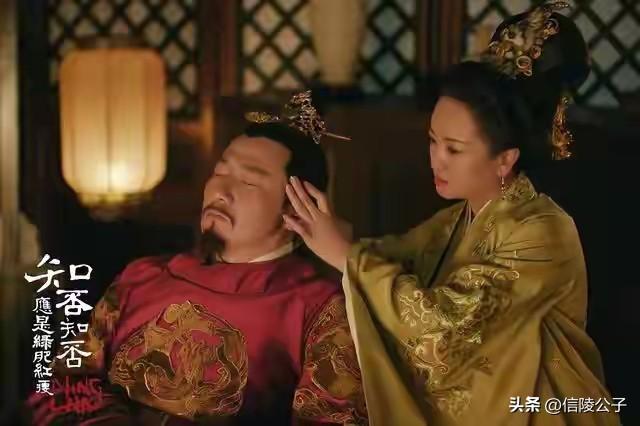 可惜的是，他只做了四年的皇帝，庆幸的也是，他只做了四年的皇帝