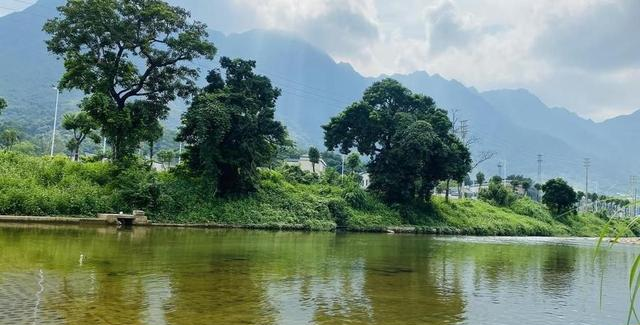 告诉大家一个好消息：葫芦岛出现 3 个新现象，关系到每个人！