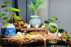 头条写好后，不要着急发布，一个操作让你秒变两个内容，收益翻倍图片