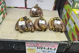 韩国水果有多匮乏，网友:这些在中国丢地上都没人捡图片