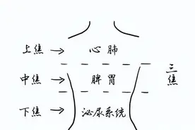 三焦一堵，湿热难除！1个中成药，清上、运中、泻下，除全身湿热图片